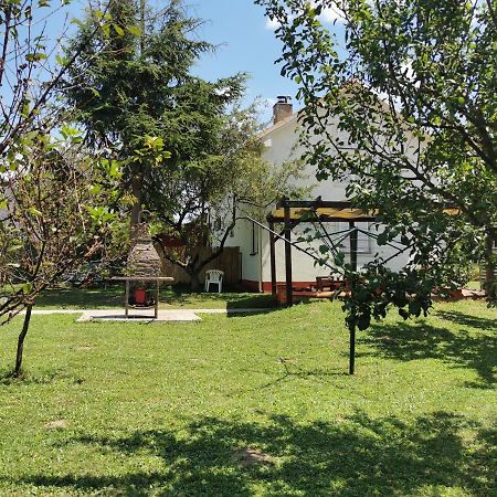 Big Borak Vila Veliki Borak Exterior foto
