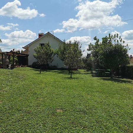 Big Borak Vila Veliki Borak Exterior foto