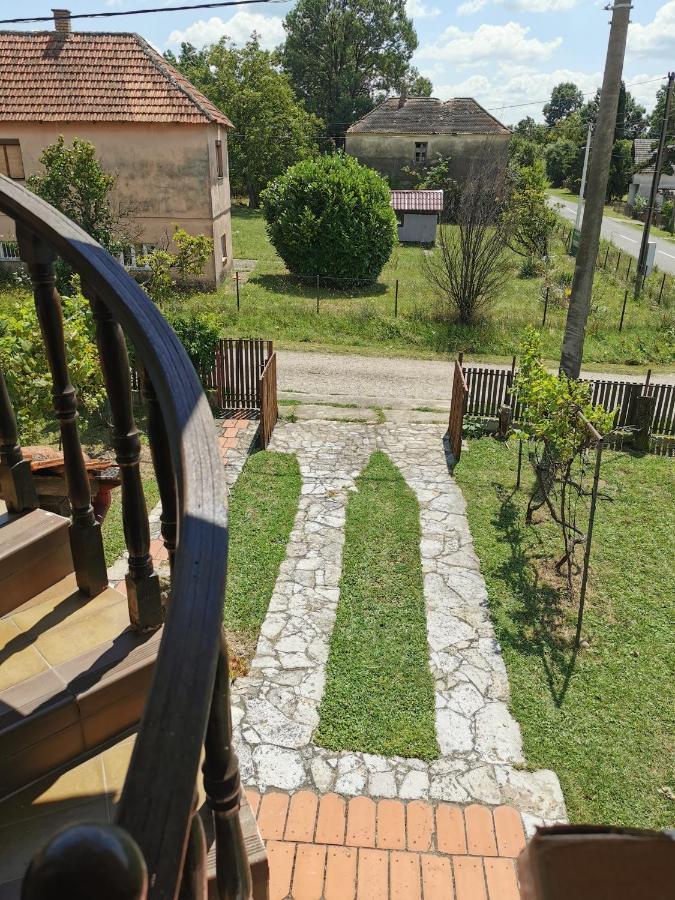 Big Borak Vila Veliki Borak Exterior foto