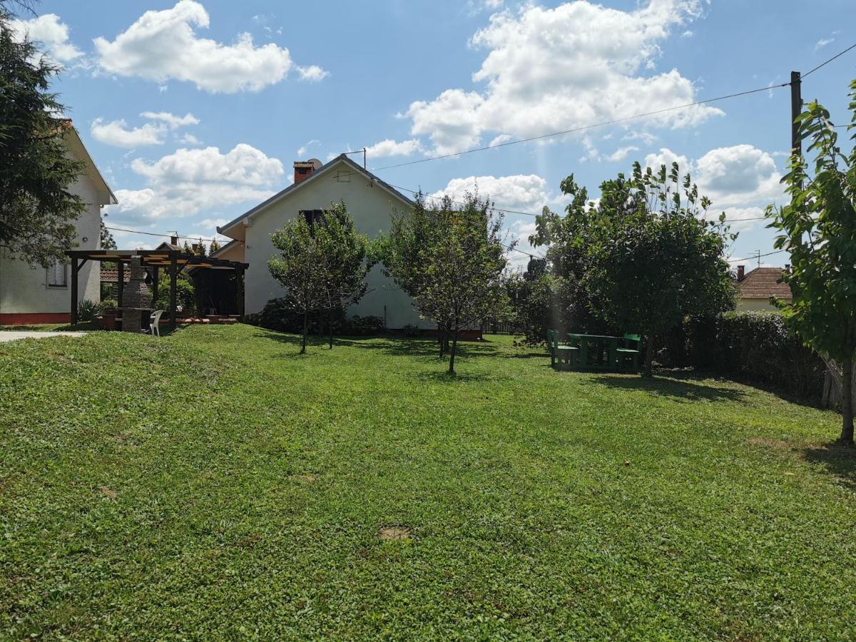 Big Borak Vila Veliki Borak Exterior foto