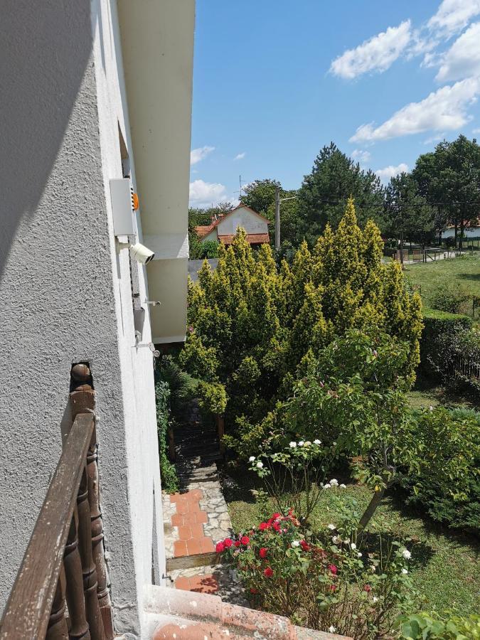 Big Borak Vila Veliki Borak Exterior foto
