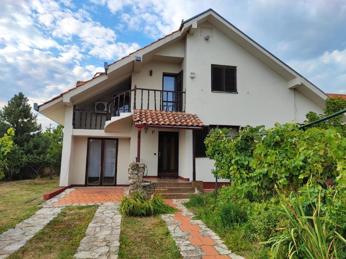 Big Borak Vila Veliki Borak Exterior foto